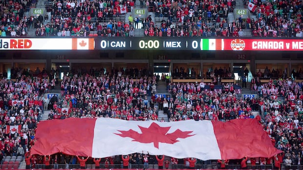 Fans and players celebrate during a FIFA World Cup match in a packed stadium
