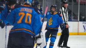 Hilary Knight and Daryl Watts Highlight PWHL Expansion Draft Pool